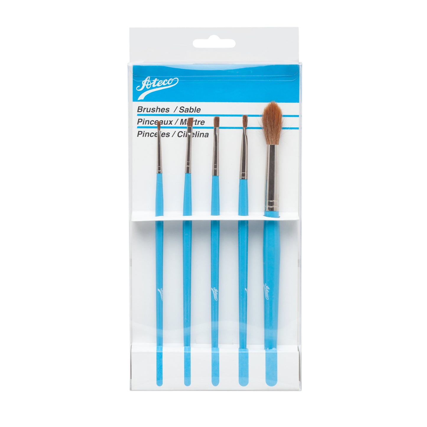 Ateco 5 Piece Paint Brush Set