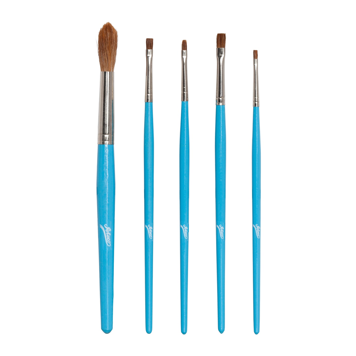 Ateco 5 Piece Paint Brush Set